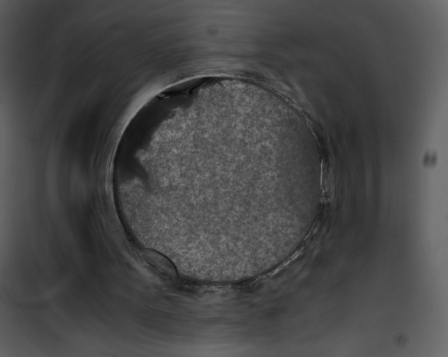 X0000100860099200807181145