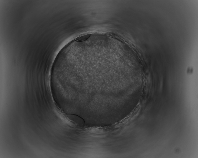 X0000100860100200807181145