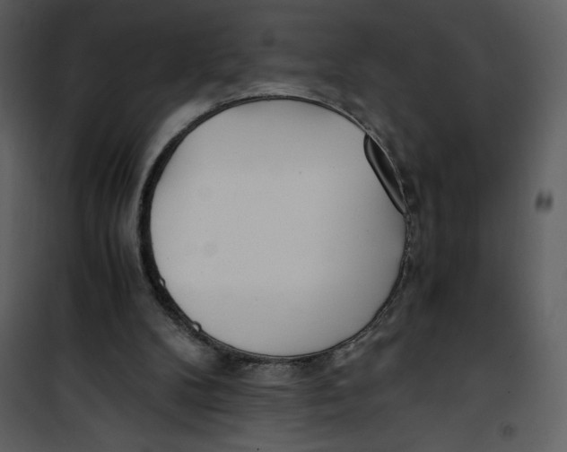 X0000100860104200807181145