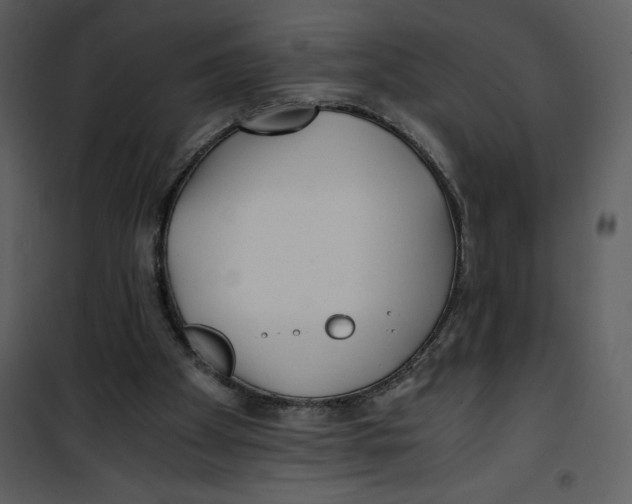 X0000100860105200807181145