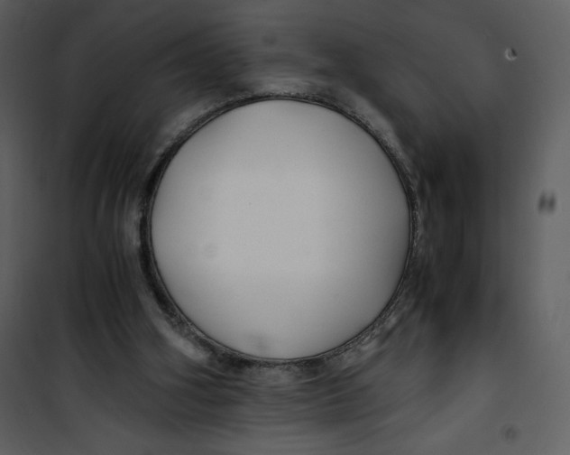 X0000100860106200807181145