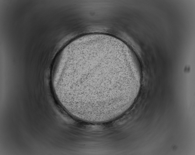 X0000100860107200807181145