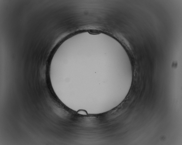 X0000100860108200807181145