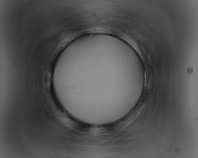 X0000100860109200807181145