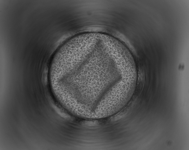 X0000100860110200807181145