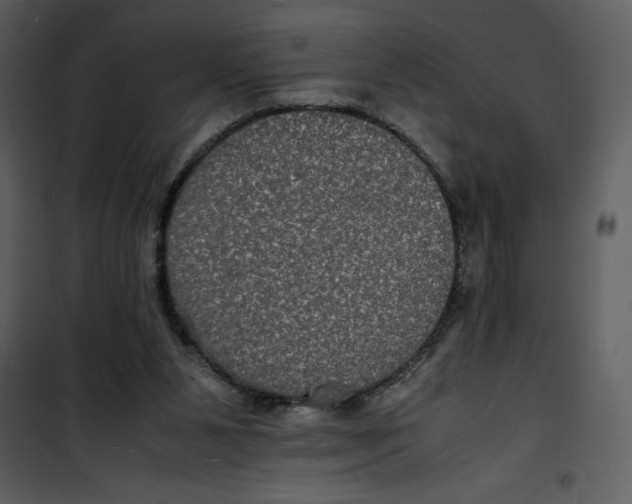 X0000100860111200807181145