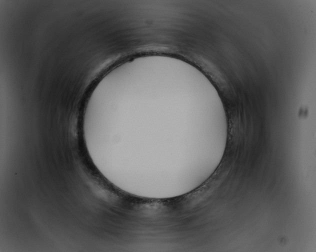 X0000100860112200807181145