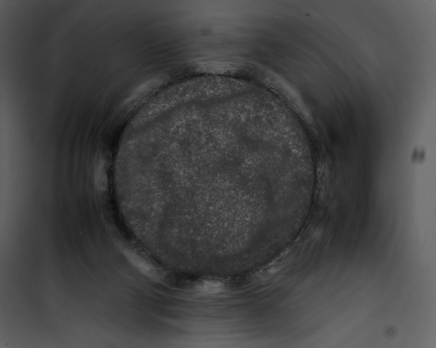 X0000100860114200807181145