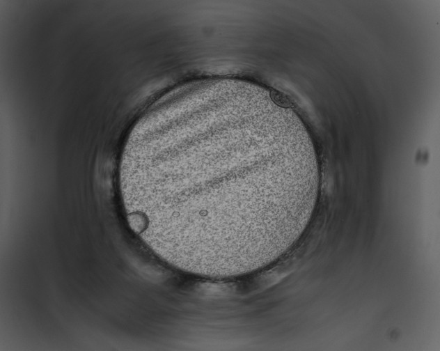 X0000100860115200807181145