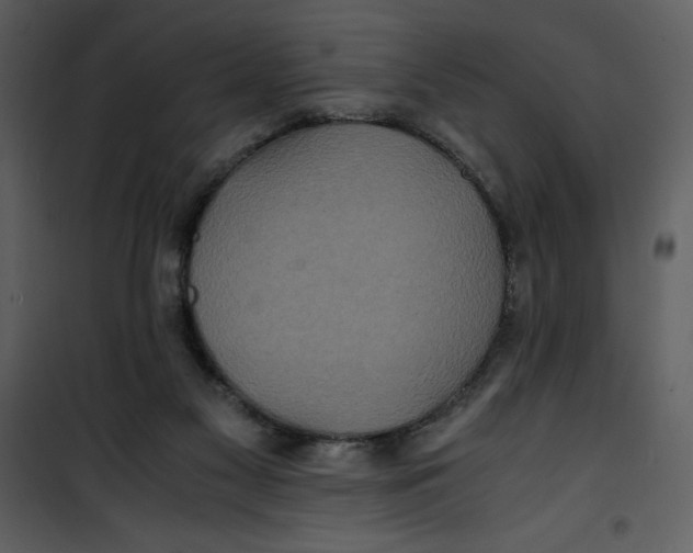 X0000100860117200807181145