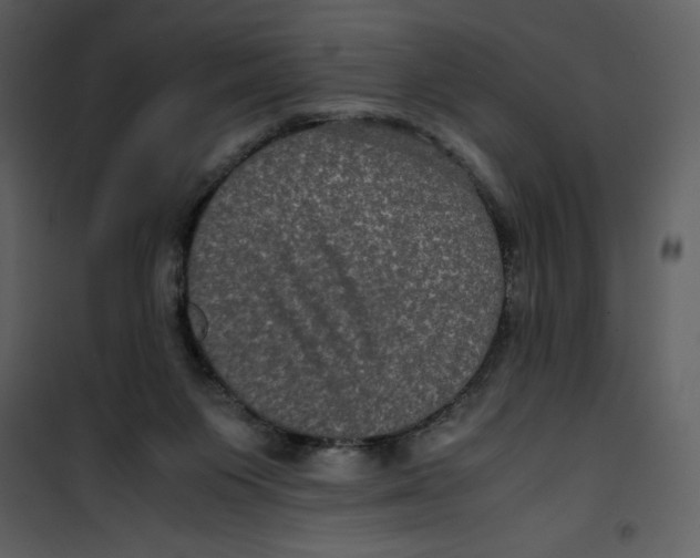 X0000100860119200807181145