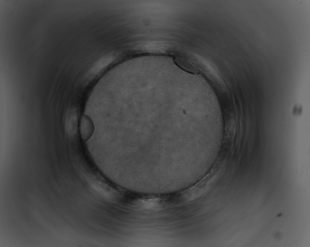 X0000100860120200807181145