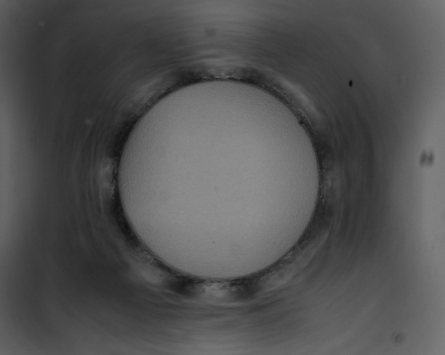 X0000100860121200807181145