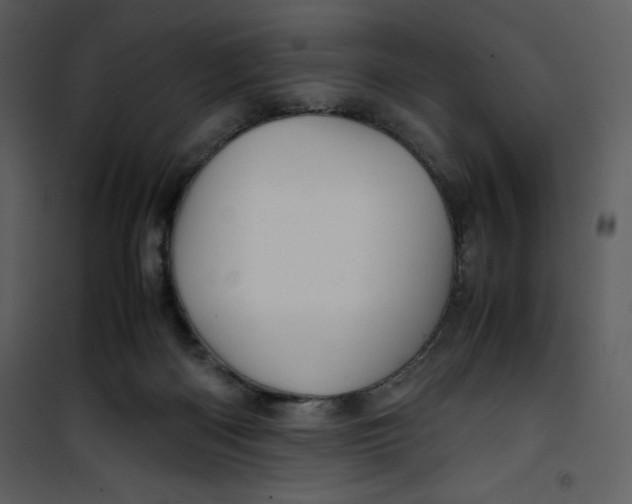 X0000100860122200807181145