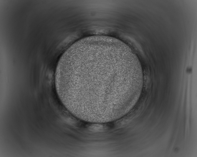 X0000100860123200807181145