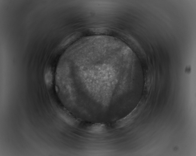 X0000100860124200807181145