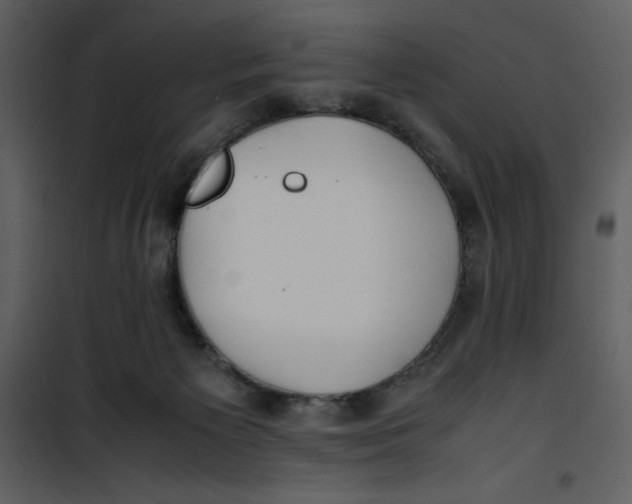 X0000100860125200807181145