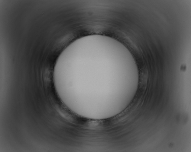 X0000100860126200807181145