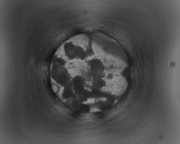 X0000100860127200807181145