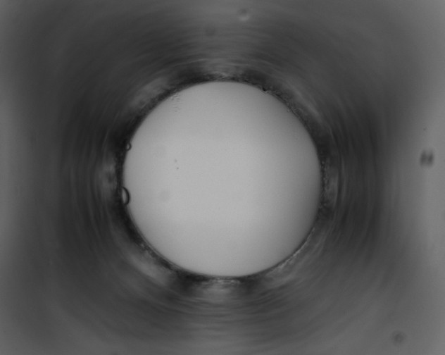 X0000100860128200807181145