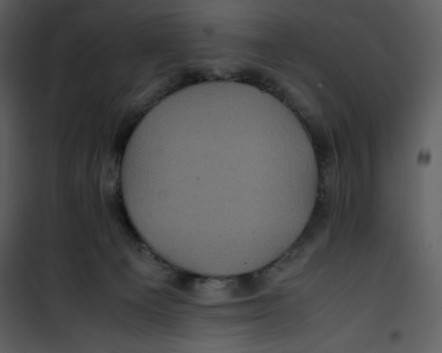 X0000100860129200807181145