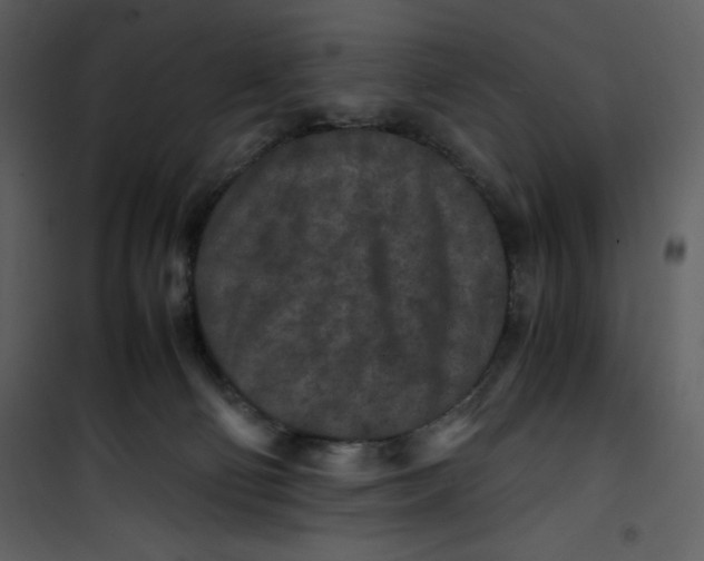 X0000100860130200807181145