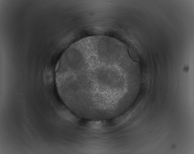 X0000100860131200807181145