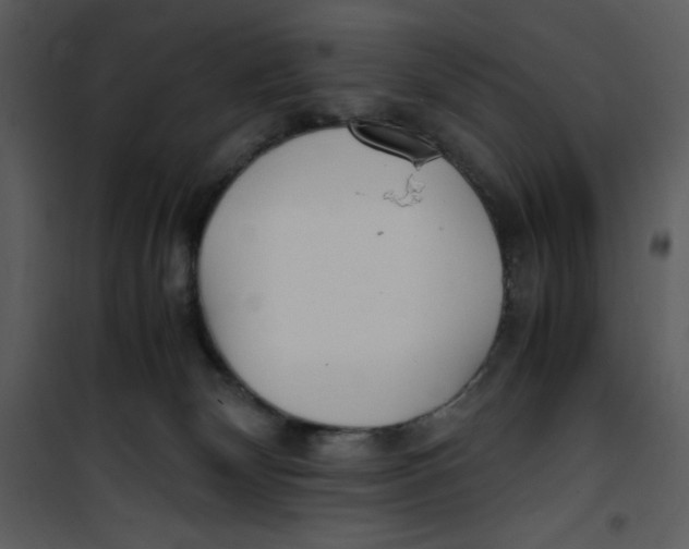 X0000100860132200807181145