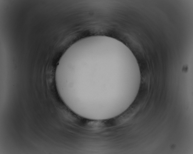 X0000100860133200807181145