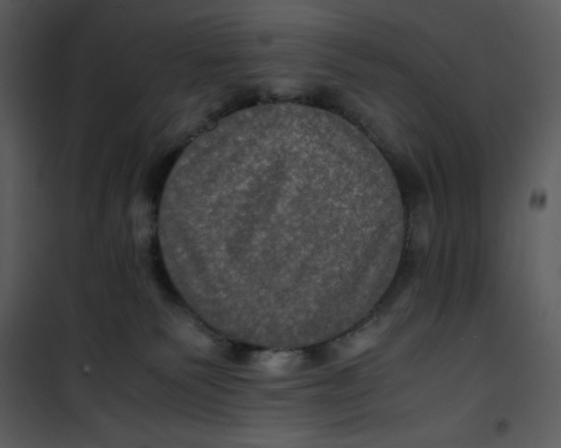 X0000100860135200807181145