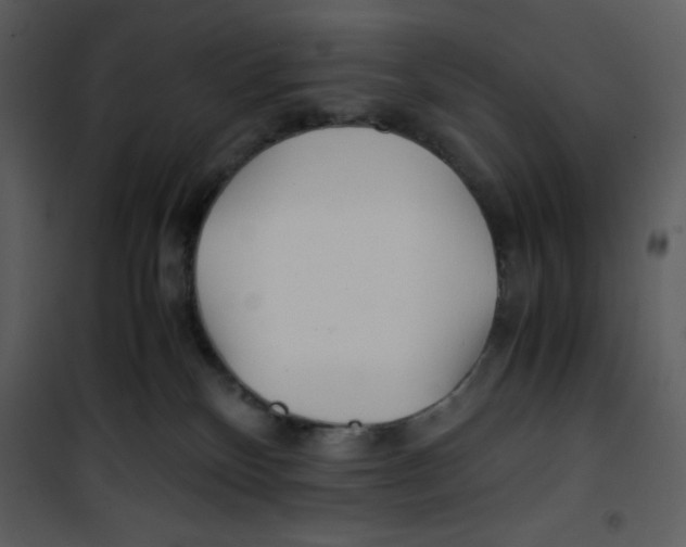 X0000100860136200807181145