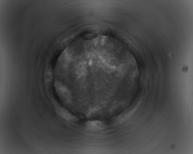 X0000100860137200807181145