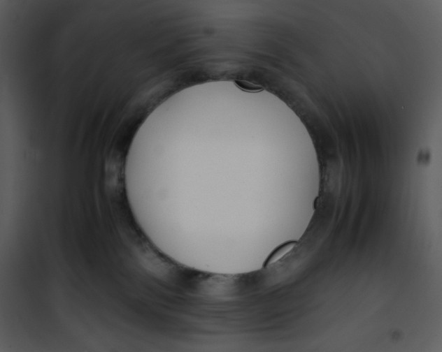 X0000100860138200807181145