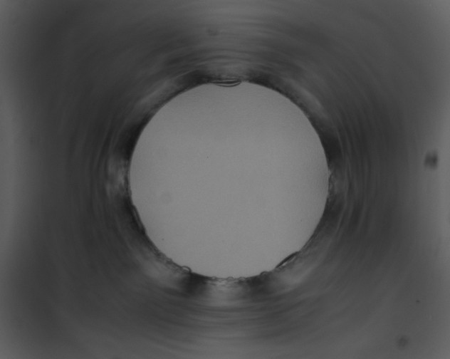 X0000100860141200807181144