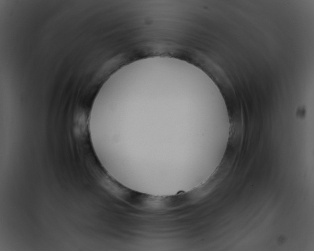 X0000100860142200807181144