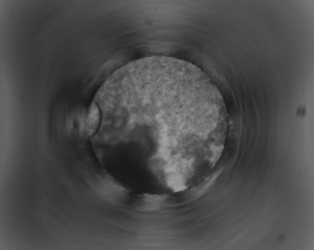 X0000100860143200807181144