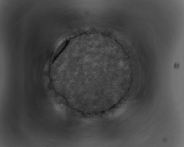 X0000100860144200807181144