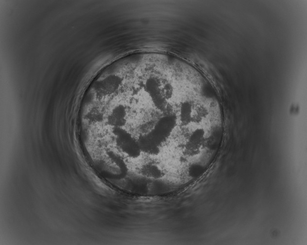 X0000100860145200807181144