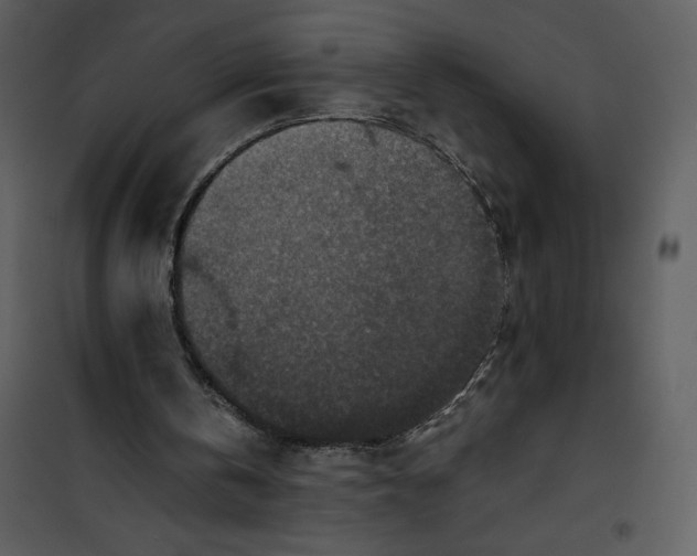 X0000100860146200807181144