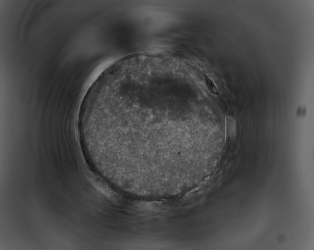 X0000100860147200807181144