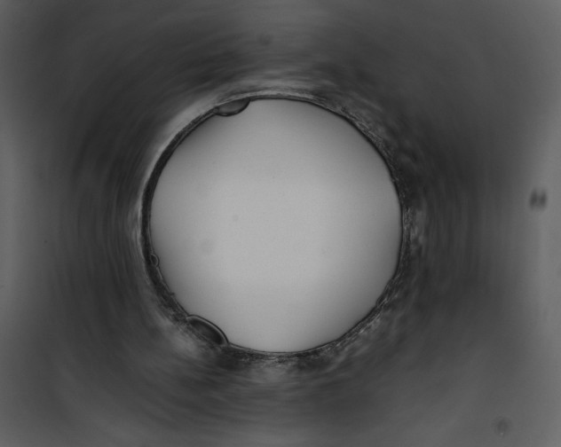 X0000100860148200807181144