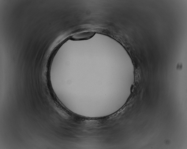 X0000100860150200807181144