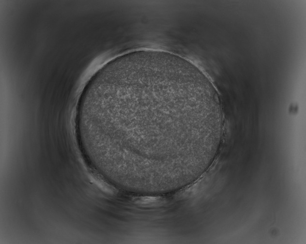 X0000100860151200807181144