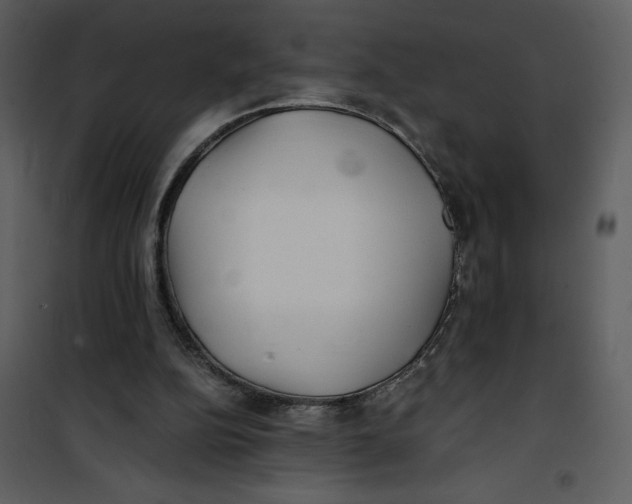 X0000100860152200807181144