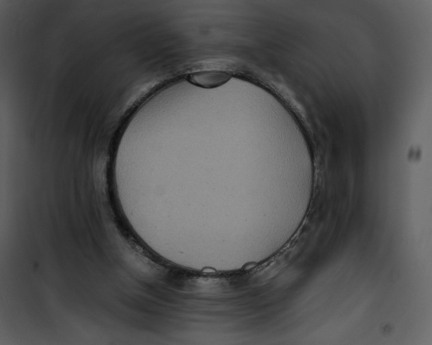 X0000100860154200807181144