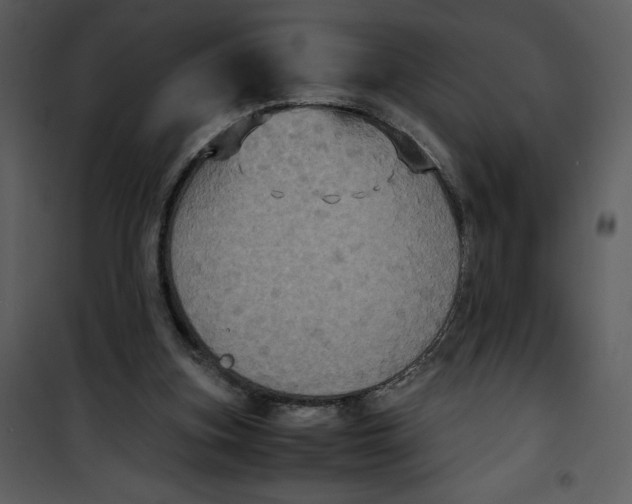 X0000100860155200807181144