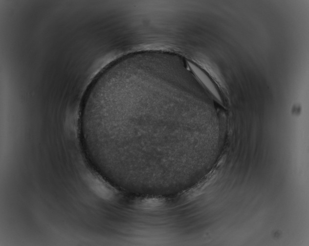 X0000100860156200807181144