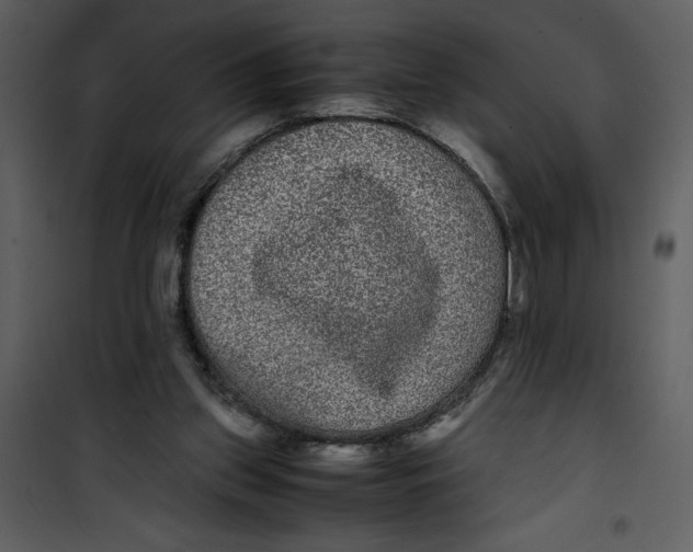 X0000100860157200807181144