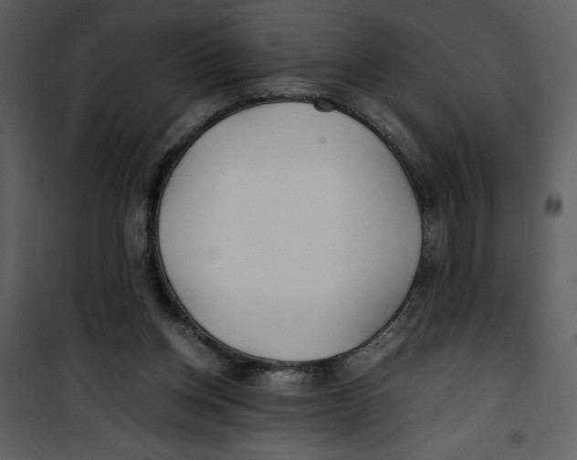 X0000100860158200807181144