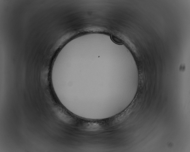 X0000100860159200807181144